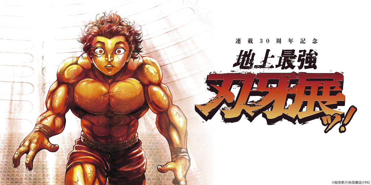 2.3日限定セール!】バキシリーズ 全155巻+関連本30冊 刃牙30 2.3日限定セール!】バキシリーズ 全155巻+関連本30冊 刃牙30